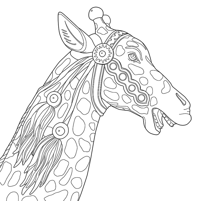 CAROUSEL: a Coloring Jones coloring book for adults